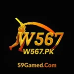 W567 Game